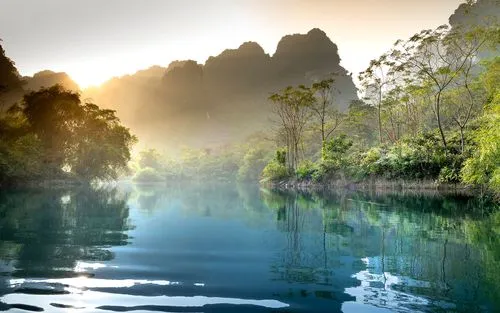 科技节能全自动